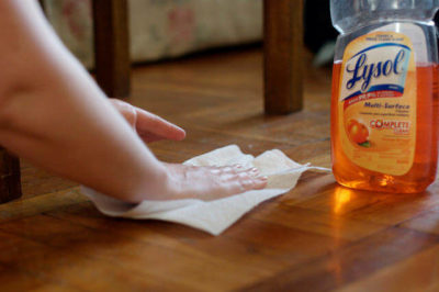 Kedi idrarı nasıl temizlenir